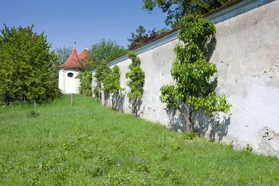 Ein Garten an der Unterkunft Hotel Kloster Holzen
