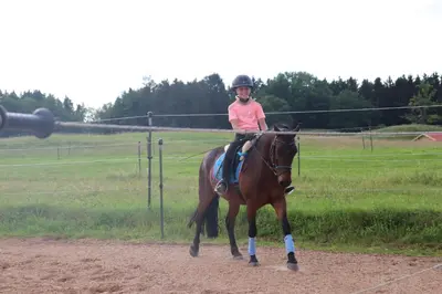 Reiten in der Ferienwohnung oder in der Nähe