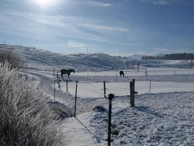 Ferienwohnung Pferdehof Pankratz im Winter