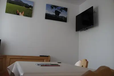 TV/Unterhaltungsangebot in der Unterkunft Bucherhof
