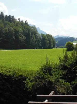 Naturlandschaft in der Nähe der Pension