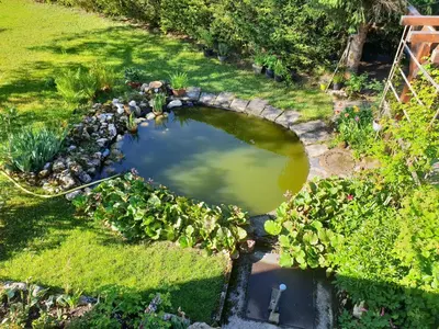Ein Garten an der Unterkunft Ferienwohnungen Josef & Karin Ketterl