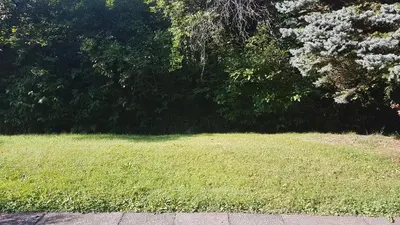 Ein Garten an der Unterkunft Haus Rottachbrücke May