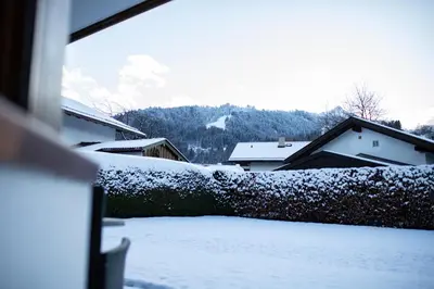 Kleeblatt im Winter