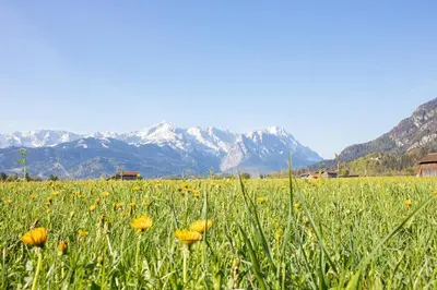 Naturlandschaft in der Nähe der Ferienwohnung