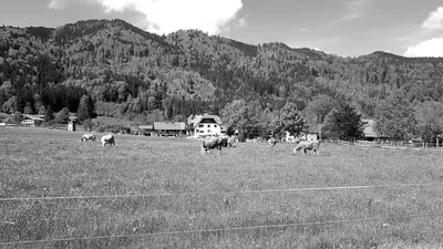 Naturlandschaft in der Nähe des Bed & Breakfasts
