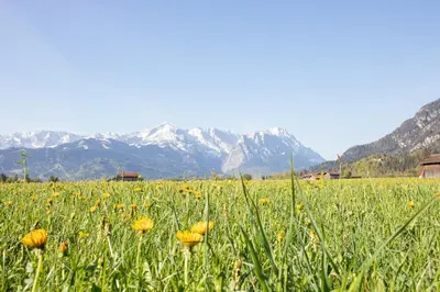 Naturlandschaft in der Nähe der Ferienwohnung