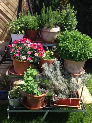 Ein Garten an der Unterkunft Augsburg-Bergheim E.