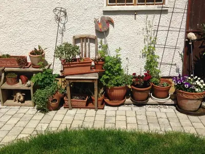 Ein Garten an der Unterkunft Augsburg-Bergheim E.
