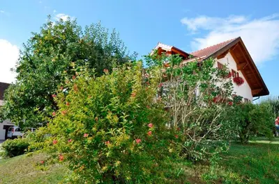 Ein Garten an der Unterkunft Gästehaus Walser