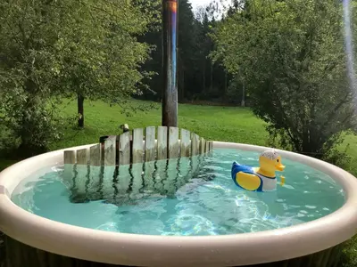 Der Swimmingpool an oder in der Nähe von Hofwies-Exklusiv - Privates Luxus-Boutique Ferienhaus 8 Pax