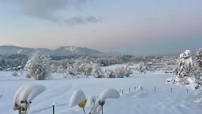 Ferienwohnungen Schwarzer in Seehausen am Staffelsee im Winter
