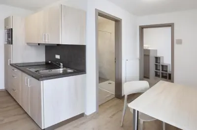 Küche/Küchenzeile in der Unterkunft Apartment Hotel 37