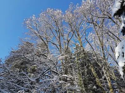 Villa Sawallisch im Winter
