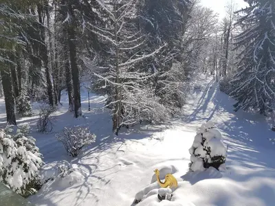 Villa Sawallisch im Winter