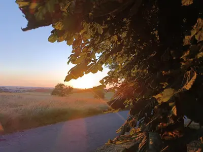 Blick auf den Sonnenuntergang/Sonnenaufgang von of country house aus oder aus der Nähe