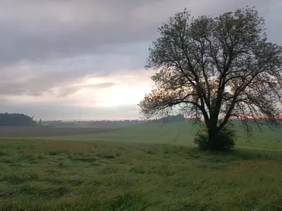 Naturlandschaft in der Nähe of country house