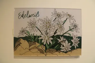 Grundriss der Unterkunft Ferienwohnungen im Gasthof Stern inklusive KönigsCard