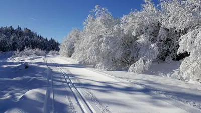 Ferienwohnung Bergtraum im Winter