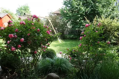 Ein Garten an der Unterkunft Appartement - Ferienwohnung - FeWo Heuboden