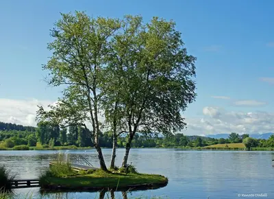 Naturlandschaft in der Nähe der Ferienwohnung