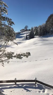 Am alten Skihang im Winter