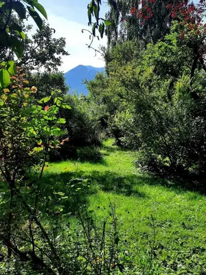 Naturlandschaft in der Nähe des Ferienhauses