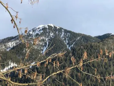 Ein allgemeiner Bergblick oder ein Berglick von des Ferienhauses aus