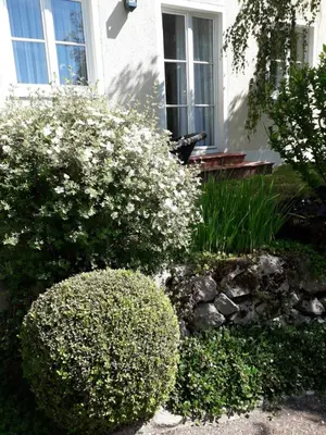 Ein Garten an der Unterkunft Die Maria