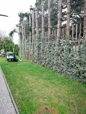 Ein Garten an der Unterkunft Münsing Nähe Starnberger See, schöne Ferienwohnung, Gästewohnung 125qm EG und OG KONTAKTFREI