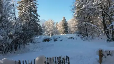 Chalet Königsstand im Winter