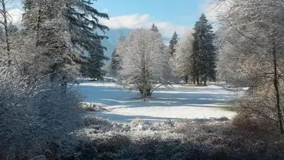 Chalet Königsstand im Winter