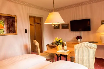 TV/Unterhaltungsangebot in der Unterkunft Garden Hotel Reinhart