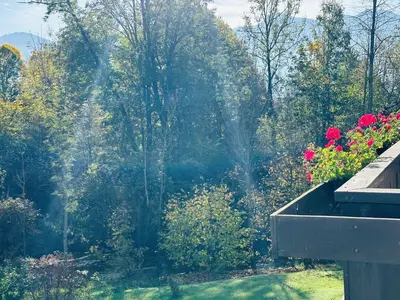 Ein Garten an der Unterkunft Ferienwohnungen Bachblick