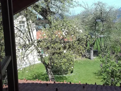 Ein Garten an der Unterkunft Ferienwohnung Hofmann