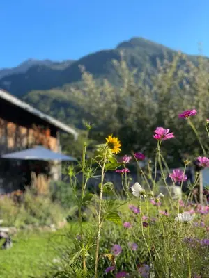 Ein allgemeiner Bergblick oder ein Berglick von der Ferienwohnung aus