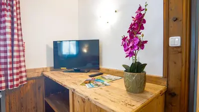 TV/Unterhaltungsangebot in der Unterkunft Landgasthof zum Papyrer - Erholung im Urlaubsgebiet
