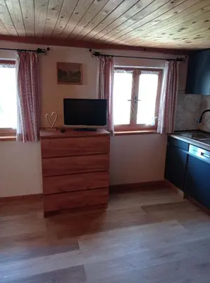 TV/Unterhaltungsangebot in der Unterkunft Greinhof