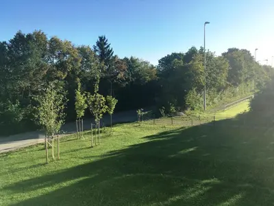 Naturlandschaft in der Nähe des Hotels