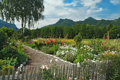 Naturlandschaft in der Nähe des Bauernhofs
