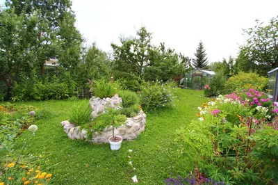Ein Garten an der Unterkunft Ferienwohnung Maag