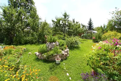 Ein Garten an der Unterkunft Ferienwohnung Maag