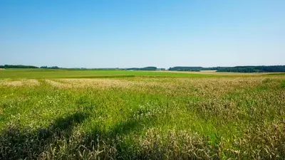 Grundriss der Unterkunft SEPPS IN