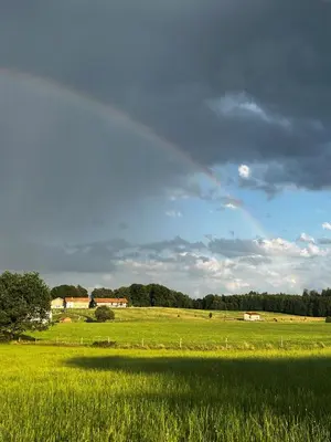 Naturlandschaft in der Nähe der Ferienwohnung