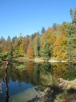 Naturlandschaft in der Nähe der Ferienwohnung