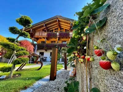 Ein Garten an der Unterkunft Ferienwohnungen Anni im Paradies