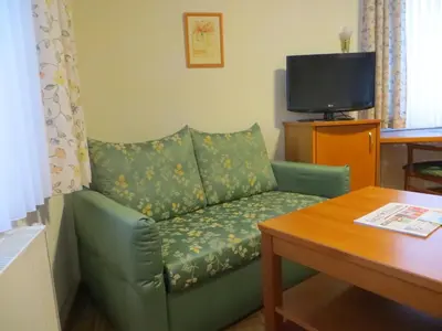 TV/Unterhaltungsangebot in der Unterkunft Hotel Cebulj