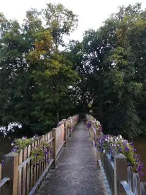 Ein Garten an der Unterkunft Gasthof Bogenrieder