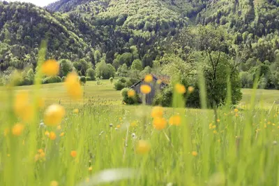 Naturlandschaft in der Nähe des Hotels