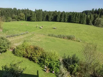 Naturlandschaft in der Nähe des Ferienhauses